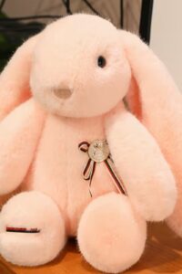 Pink Rabbit