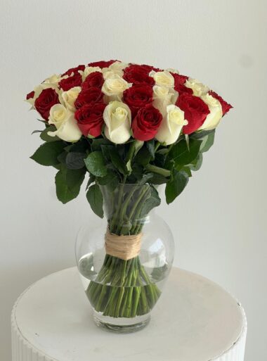 Red+White